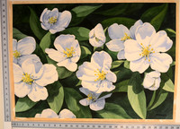 Hydrangeas