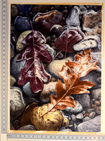 Wet Leaves